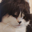 fangkun@ihep.ac.cn's avatar