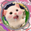 miaohan@ihep.ac.cn's avatar